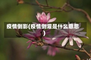 疫情倒影(疫情倒灌是什么意思)