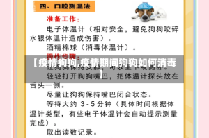 【疫情狗狗,疫情期间狗狗如何消毒】