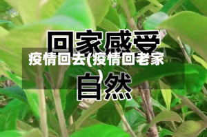 疫情回去(疫情回老家)