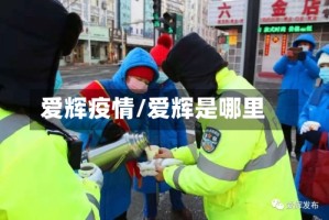 爱辉疫情/爱辉是哪里