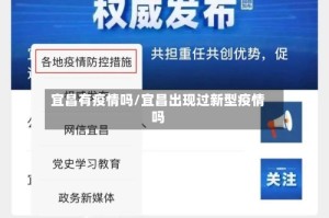 宜昌有疫情吗/宜昌出现过新型疫情吗