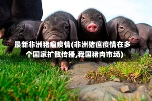 最新非洲猪瘟疫情(非洲猪瘟疫情在多个国家扩散传播,我国猪肉市场)