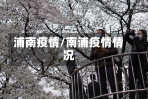 浦南疫情/南浦疫情情况