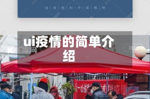 ui疫情的简单介绍