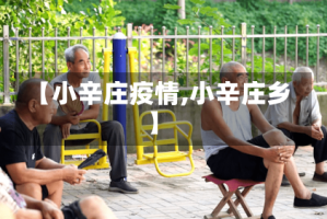 【小辛庄疫情,小辛庄乡】