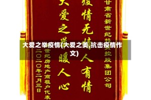 大爱之举疫情(大爱之美,抗击疫情作文)
