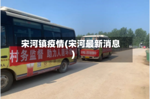 宋河镇疫情(宋河最新消息)
