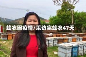 蜂农因疫情/采访完蜂农47天