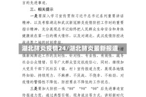 湖北肺炎疫情24/湖北肺炎最新报道