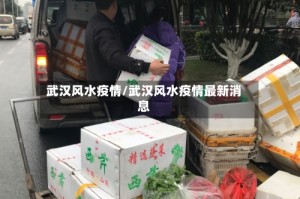武汉风水疫情/武汉风水疫情最新消息
