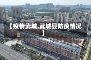 【疫情武城,武城县防疫情况】