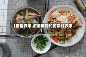 【疫情养家,疫情期间如何挣钱养家】