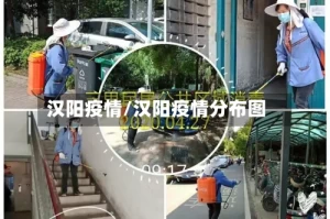 汉阳疫情/汉阳疫情分布图