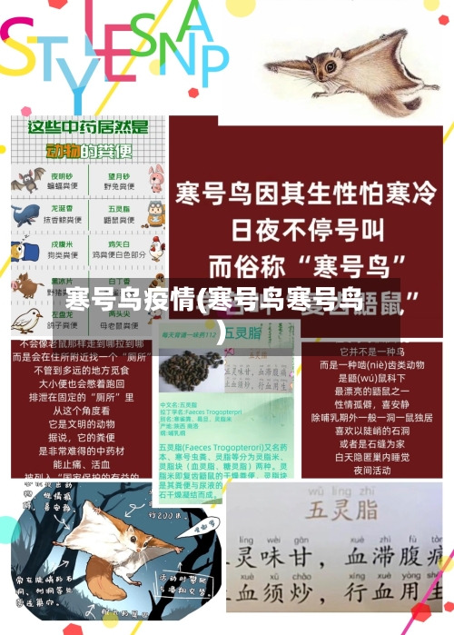 寒号鸟疫情(寒号鸟寒号鸟)-第1张图片