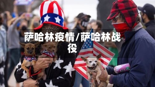 萨哈林疫情/萨哈林战役-第1张图片