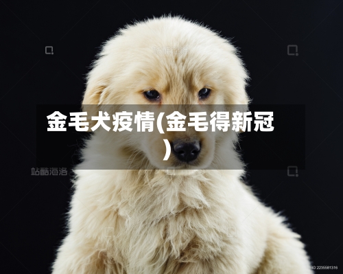金毛犬疫情(金毛得新冠)-第1张图片