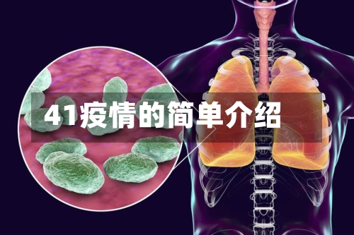 41疫情的简单介绍-第2张图片