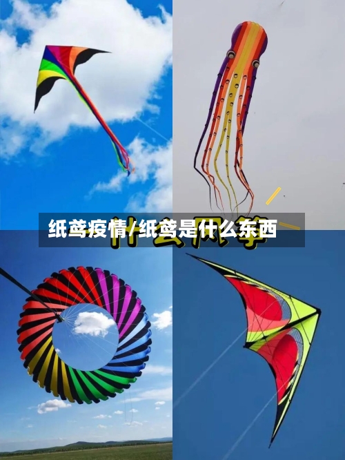 纸鸢疫情/纸鸢是什么东西-第1张图片