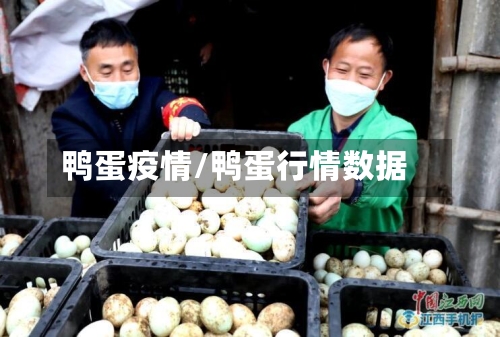 鸭蛋疫情/鸭蛋行情数据-第1张图片