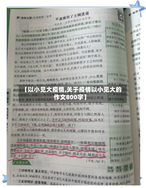 【以小见大疫情,关于疫情以小见大的作文800字】-第2张图片
