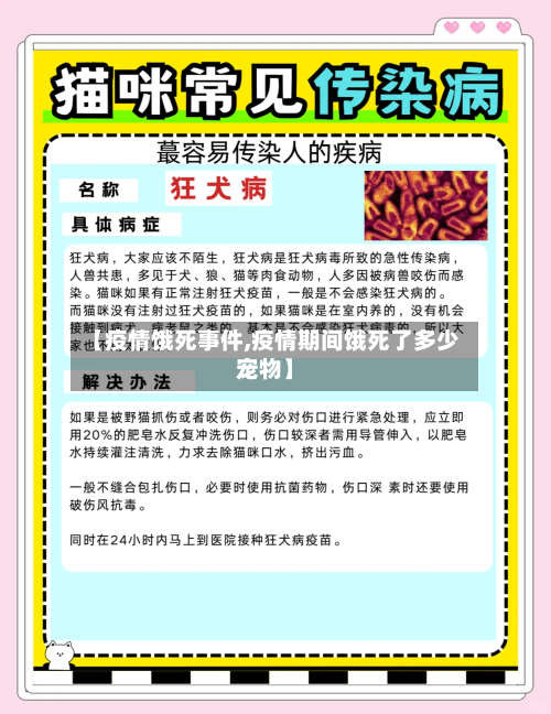 【疫情饿死事件,疫情期间饿死了多少宠物】-第3张图片
