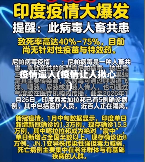 疫情逼人(疫情让人揪心)-第2张图片