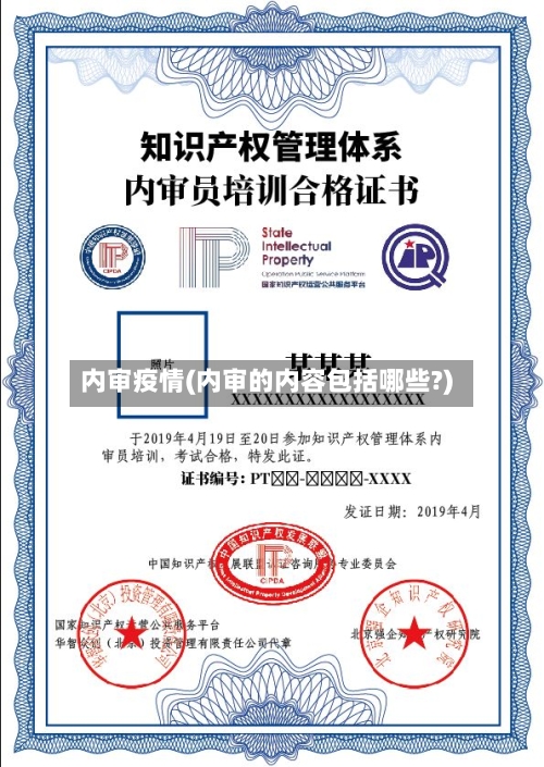 内审疫情(内审的内容包括哪些?)-第3张图片
