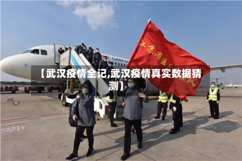 【武汉疫情全记,武汉疫情真实数据猜测】-第1张图片