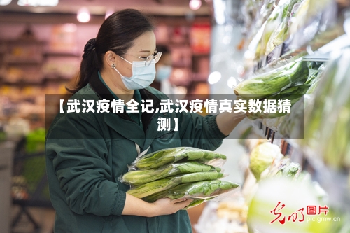 【武汉疫情全记,武汉疫情真实数据猜测】-第2张图片