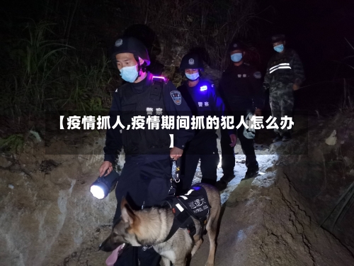 【疫情抓人,疫情期间抓的犯人怎么办】-第2张图片