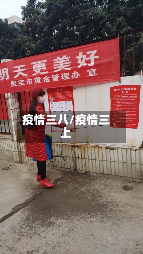 疫情三八/疫情三上-第1张图片