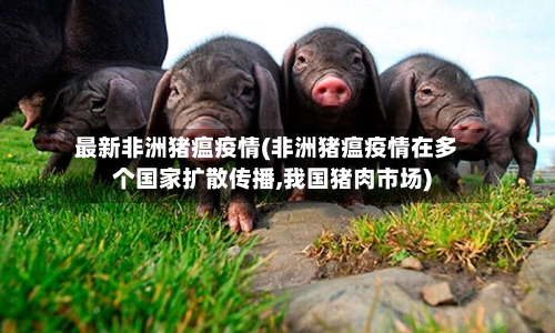 最新非洲猪瘟疫情(非洲猪瘟疫情在多个国家扩散传播,我国猪肉市场)-第1张图片