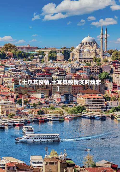 【土尔其疫情,土耳其疫情实时动态】-第1张图片