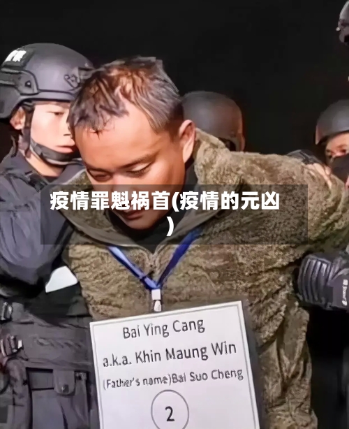 疫情罪魁祸首(疫情的元凶)-第1张图片