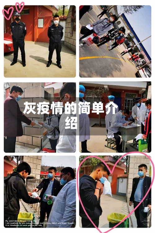 灰疫情的简单介绍-第2张图片