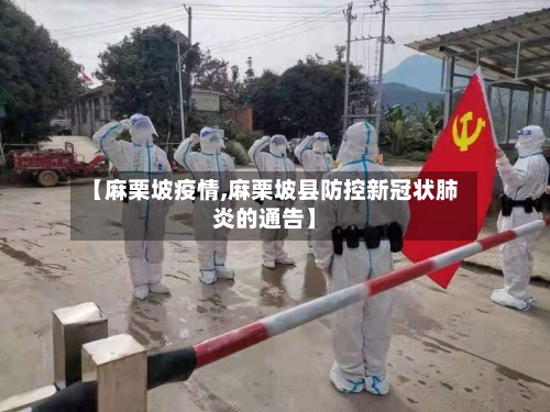 【麻栗坡疫情,麻栗坡县防控新冠状肺炎的通告】-第1张图片
