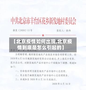 【北京疫情如何出现,北京疫情到底是怎么引起的】-第2张图片