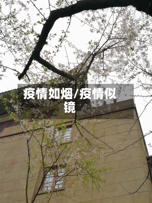 疫情如烟/疫情似镜-第1张图片