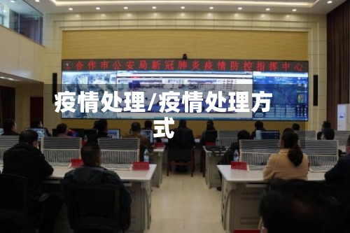 疫情处理/疫情处理方式-第3张图片