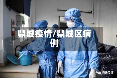 鼎城疫情/鼎城区病例-第3张图片