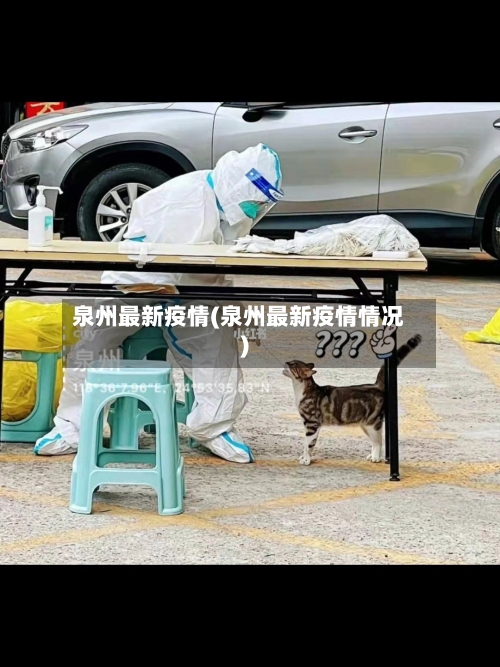 泉州最新疫情(泉州最新疫情情况)-第1张图片