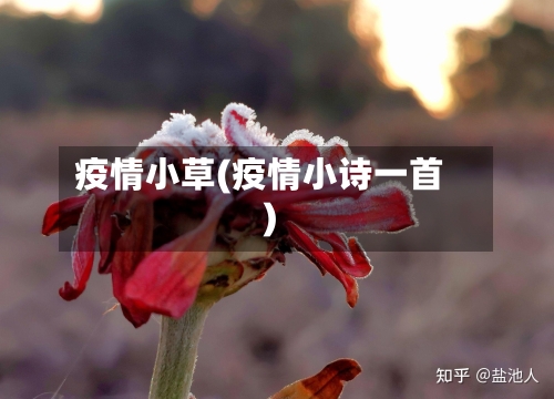 疫情小草(疫情小诗一首)-第2张图片