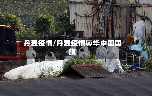 丹麦疫情/丹麦疫情辱华中国国旗-第1张图片