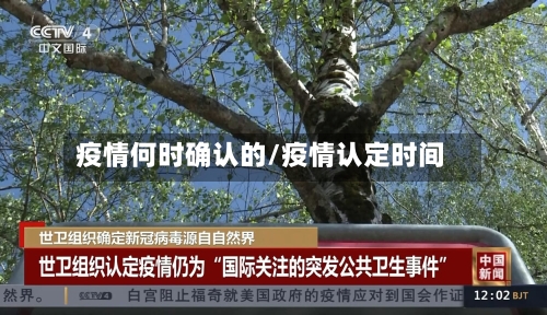 疫情何时确认的/疫情认定时间-第1张图片