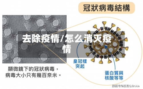 去除疫情/怎么消灭疫情-第1张图片