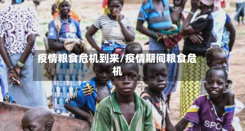 疫情粮食危机到来/疫情期间粮食危机-第1张图片