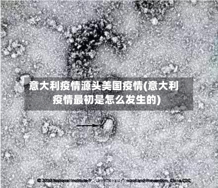 意大利疫情源头美国疫情(意大利疫情最初是怎么发生的)-第1张图片