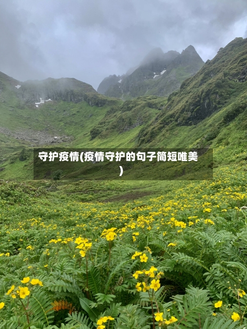 守护疫情(疫情守护的句子简短唯美)-第1张图片