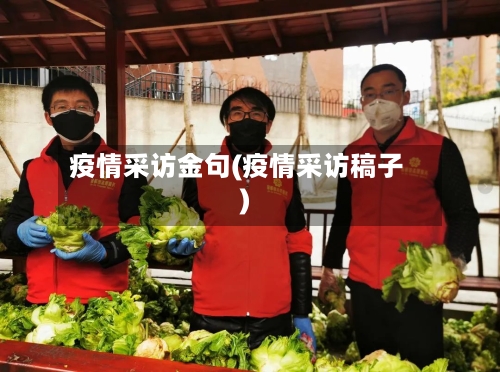 疫情采访金句(疫情采访稿子)-第1张图片