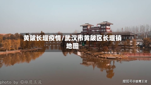 黄陂长堰疫情/武汉市黄陂区长堰镇地图-第1张图片